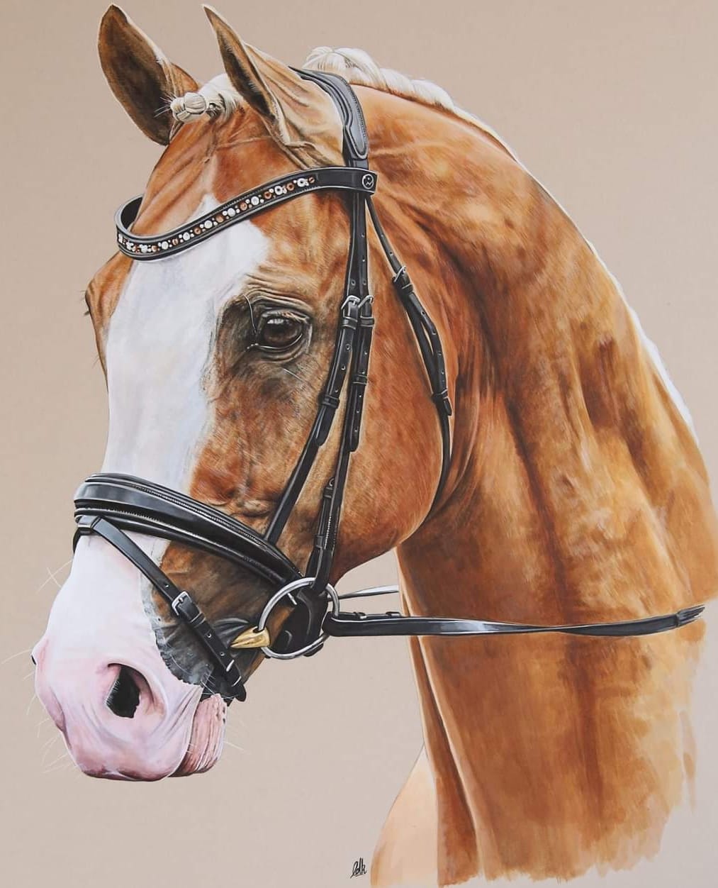 Equestrian Artist